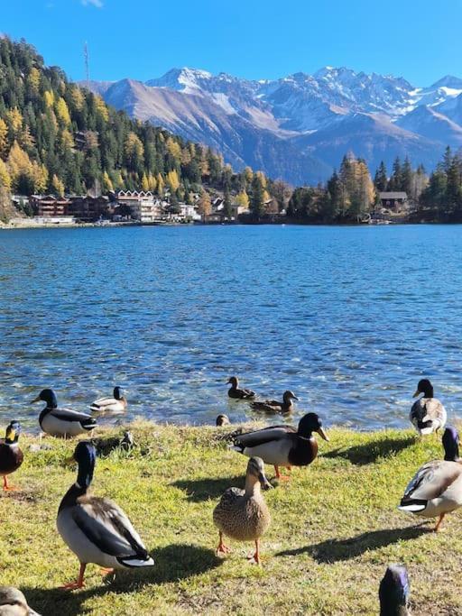 Superbe Appartement Champex-Lac Avec Piscine Et Sauna Exterior photo
